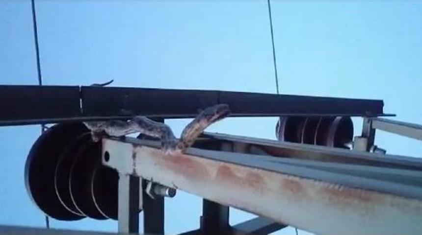 Akıma Kapılan Yılan 12 K&ouml;y&uuml; 15 Saat Elektirksiz Bıraktı