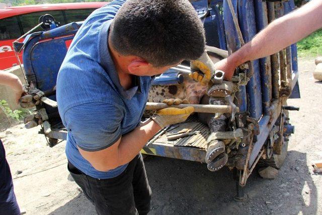 Çocukları Gibi Sevdikleri Boğalarını Nallayarak Festivale Hazırlıyorlar 1