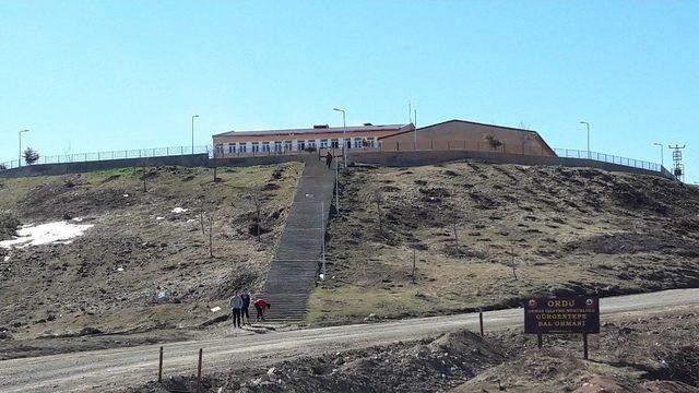 Gürgentepe’de Örnek Çalışma 1