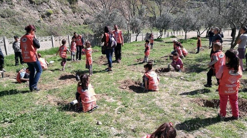 Minik Eller Fidanları Toprakla Buluşturdu