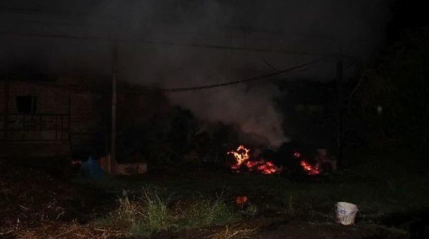 &Ccedil;ine&rsquo;de Alevli Gece