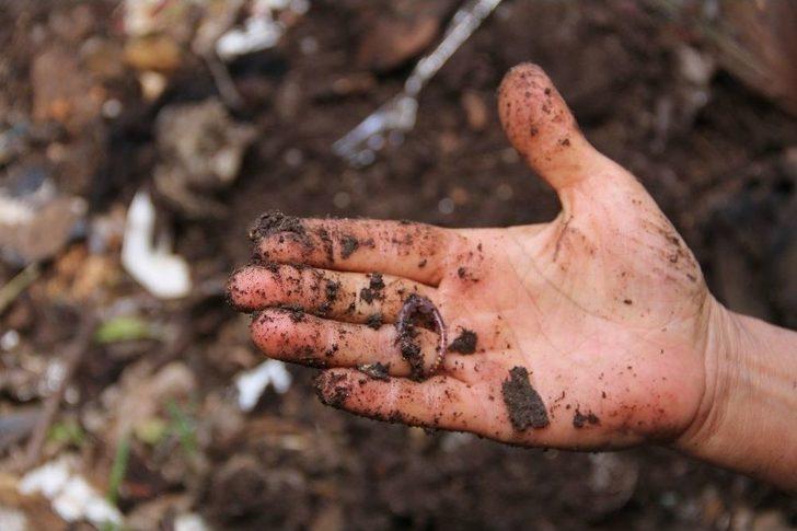 (özel Haber) Dünyanın Pisliğini ‘siyah Altınlar’ Ortadan Kaldırıyor G1