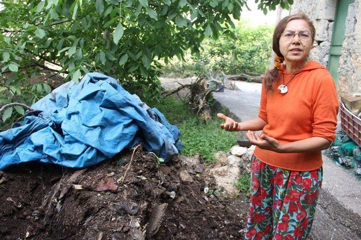 (özel Haber) Dünyanın Pisliğini ‘siyah Altınlar’ Ortadan Kaldırıyor G2