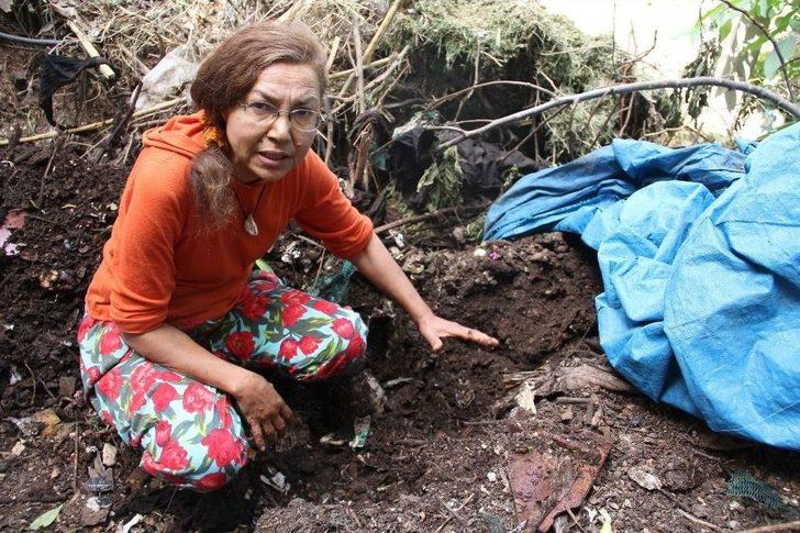 (özel Haber) Dünyanın Pisliğini ‘siyah Altınlar’ Ortadan Kaldırıyor G3