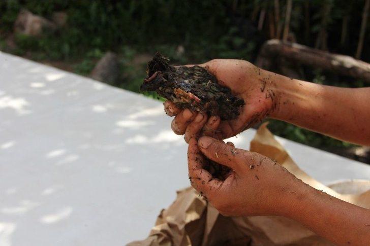 (özel Haber) Dünyanın Pisliğini ‘siyah Altınlar’ Ortadan Kaldırıyor G4