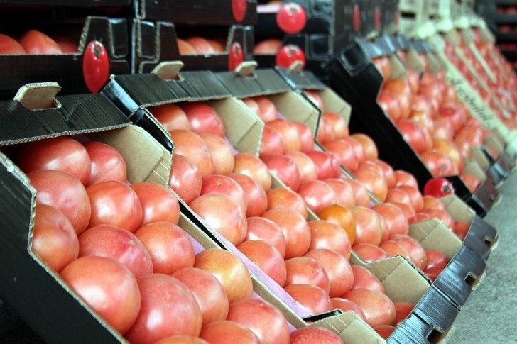 Kışın Zam Şampiyonu Biber Çiftçiyi Üzdü, Domates İse Güldürdü G5