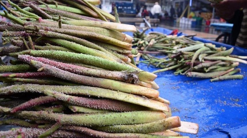Kanser Tedavisinde Umut Olan Işgın Sebzesi Yok Satıyor
