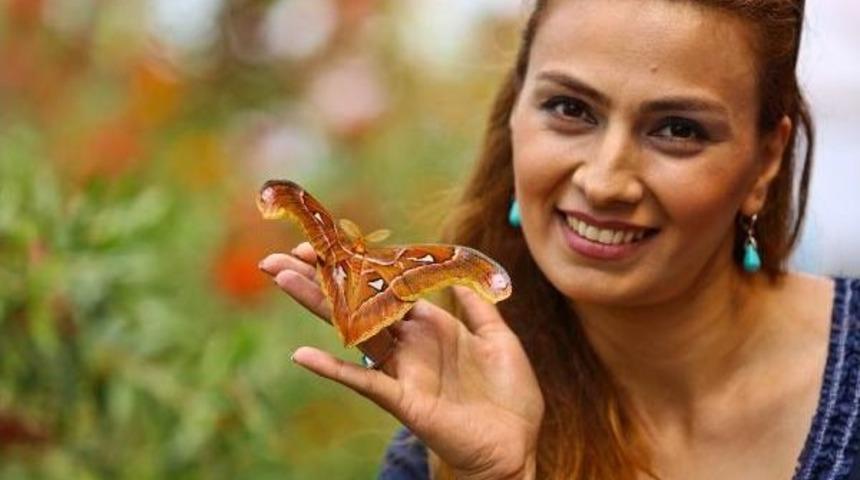 Kelebek Park'ta Bahar Canlılığı