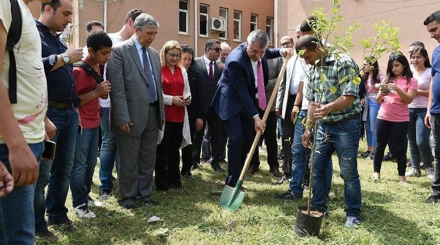 100 Bin Adet Turun&ccedil; Fidanı Toprakla Buluşuyor