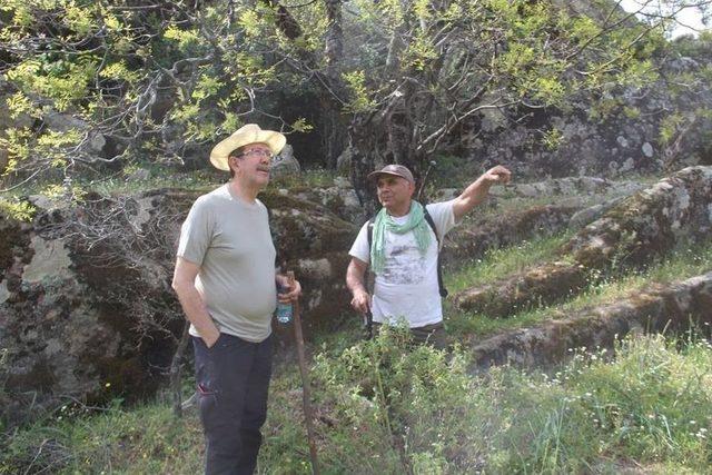 Vali Yardımcısı G&uuml;nay Latmos&rsquo;ta İncelemelerde Bulundu 1