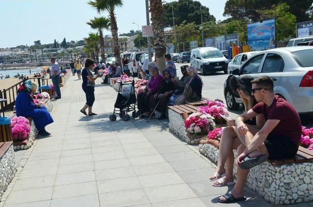 Altınkum Plajı Yaz Sezonu Açtı