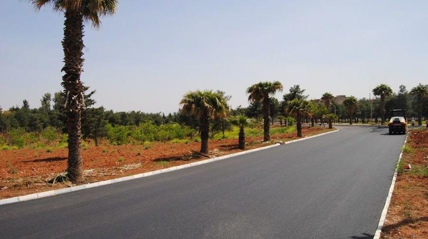 B&uuml;y&uuml;kşehir Eyy&uuml;biye Kampus&uuml;n&uuml;n Yollarını Yeniledi