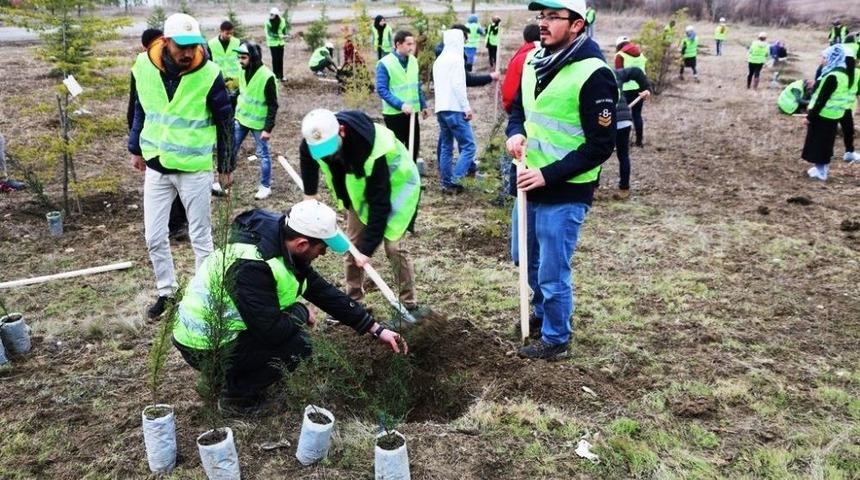 52 Milyon Adet Fidan Toprakla Buluşturuldu