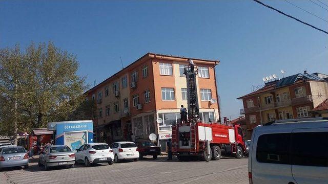 Hisarcık İtfaiyesinden Güvercin Kurtarma Operasyonu