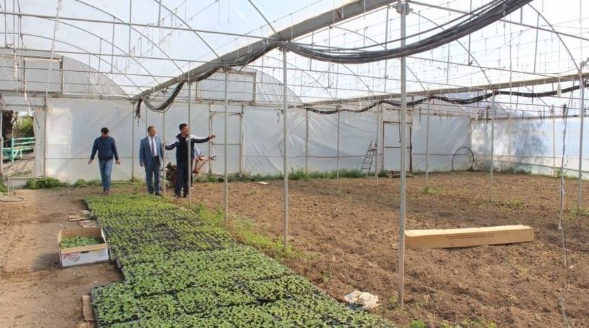 Tarım M&uuml;d&uuml;r&uuml; Yolcu Seraları Dolaştı