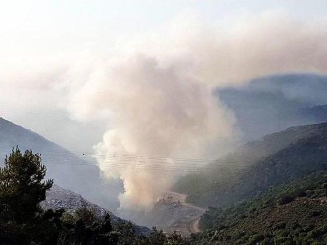 Bodrum da &Ccedil;&ouml;pl&uuml;k Alanda Yangın 2