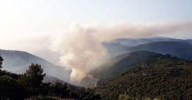 Bodrum da &Ccedil;&ouml;pl&uuml;k Alanda Yangın 3