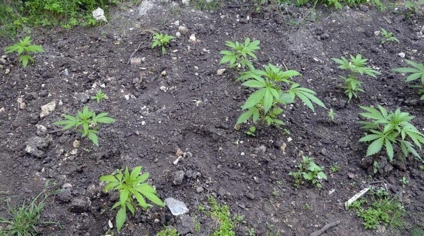 Jandarmadan Zehir Tacirlerine Darbe: 1 G&ouml;zaltı