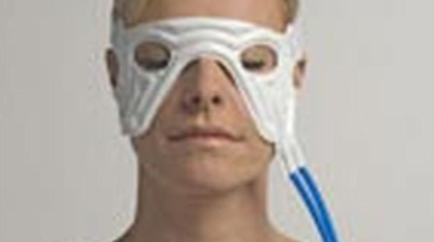 Kadın Erkek Cinselliğinin Sırrı Burunda