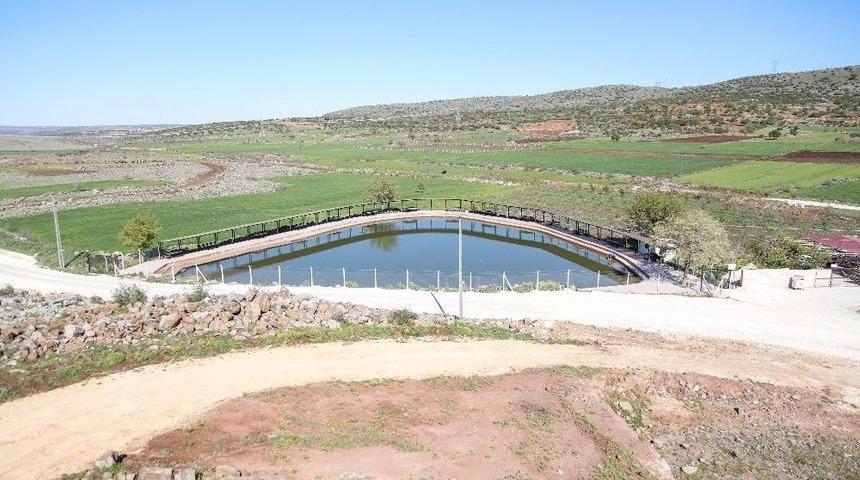 S&uuml;l&uuml;kl&uuml; G&ouml;l, Turizm Merkezi Haline Getirilecek