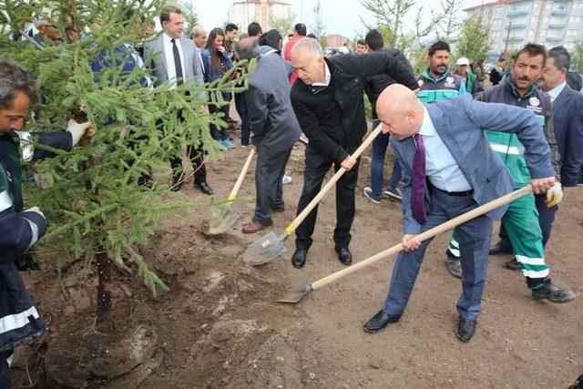 Kocasinan&rsquo;da Ağa&ccedil;landırma Rekora Y&uuml;r&uuml;yor 1