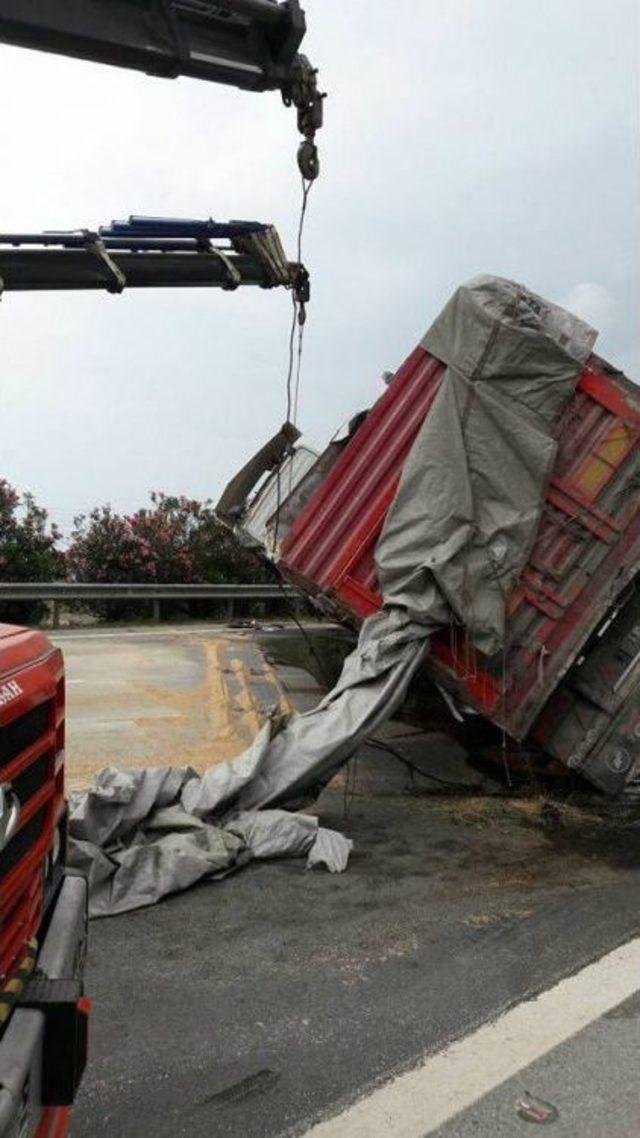 Buğday Yüklü Tır Devrildi 1