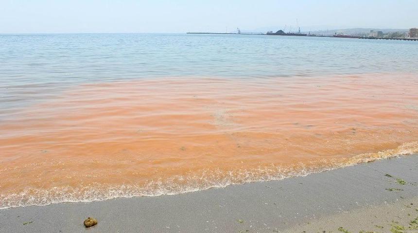 Marmara Denizi Hala Turuncu