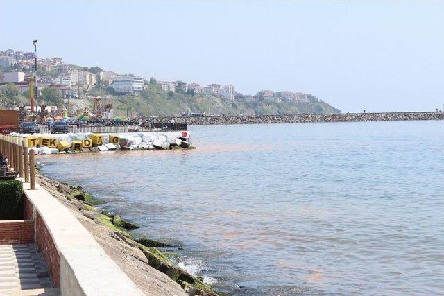 Marmara Denizi Hala Turuncu 1