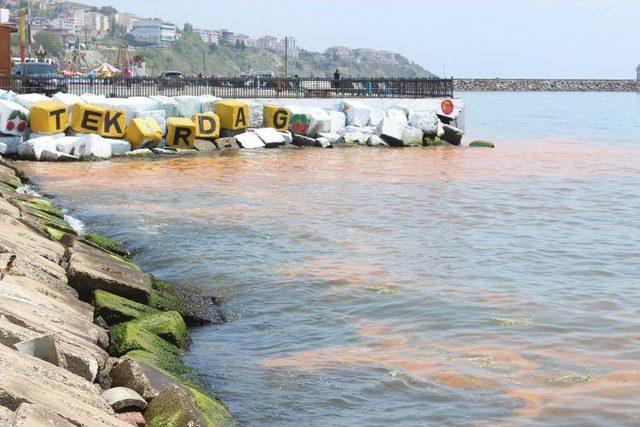 Marmara Denizi Hala Turuncu 2