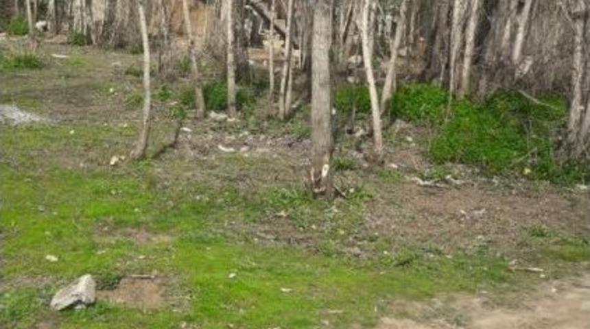 G&uuml;roymak&rsquo;ta Yeni Yollar A&ccedil;ılıyor