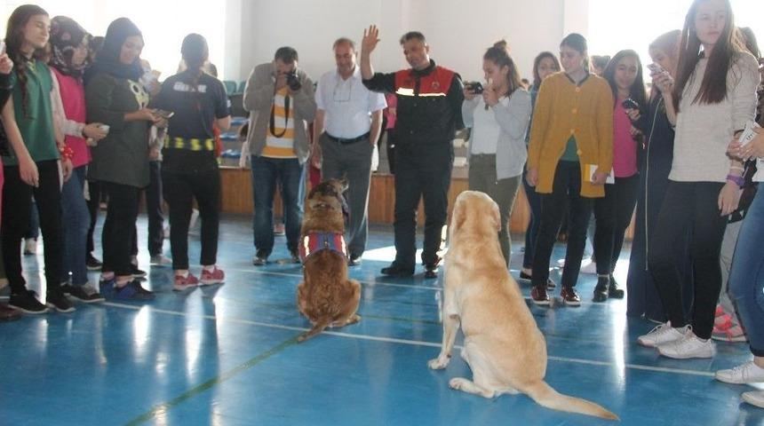 İl Jandarma Komutanlığı &Ouml;ğrencileri Hayatta Karşılaşabilecekleri G&uuml;&ccedil;l&uuml;klere Karşı Uyardı