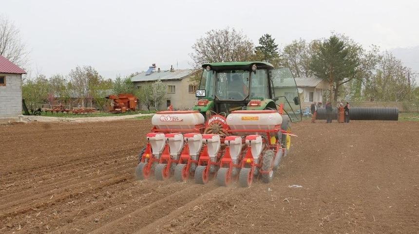 Ergan Fasulyesi Demonstrasyon Çalışmaları Başladı