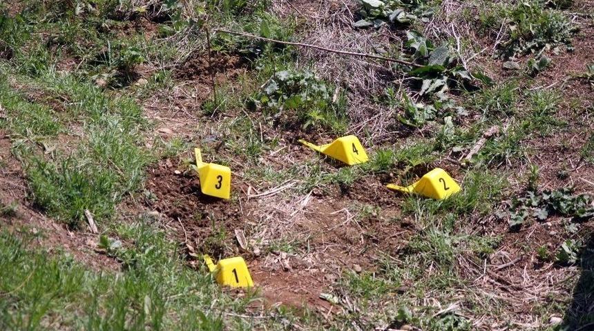 Bolu’da 27 Kök Hint Keneviri Bulundu