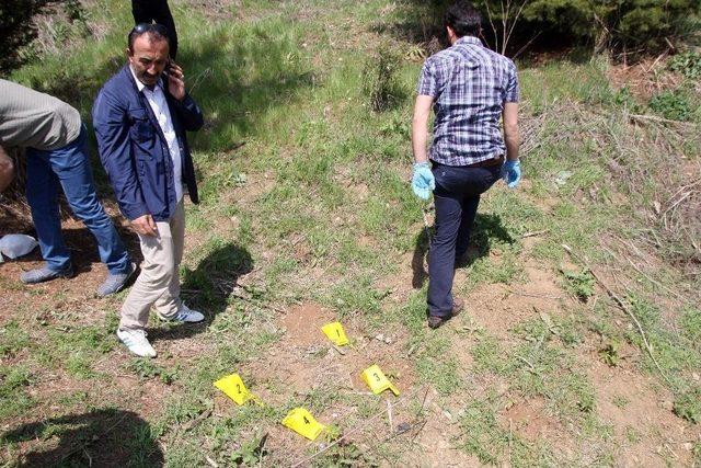 Bolu’da 27 Kök Hint Keneviri Bulundu 1