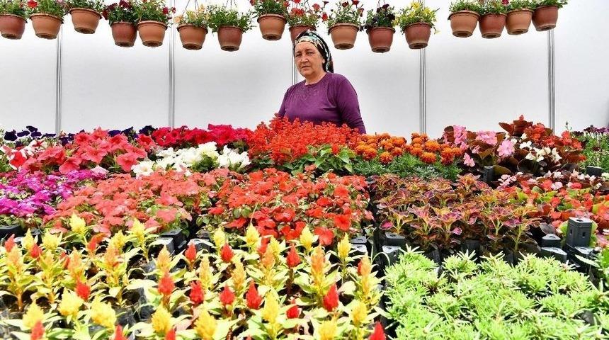 &Ccedil;i&ccedil;eğin Başkentinde "&ccedil;i&ccedil;ek Festivali"