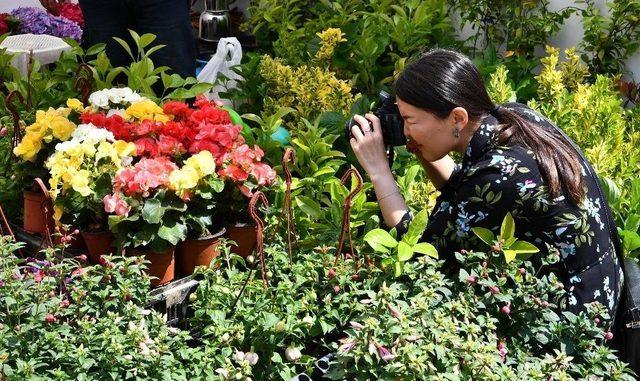 &Ccedil;i&ccedil;eğin Başkentinde "&ccedil;i&ccedil;ek Festivali" 1