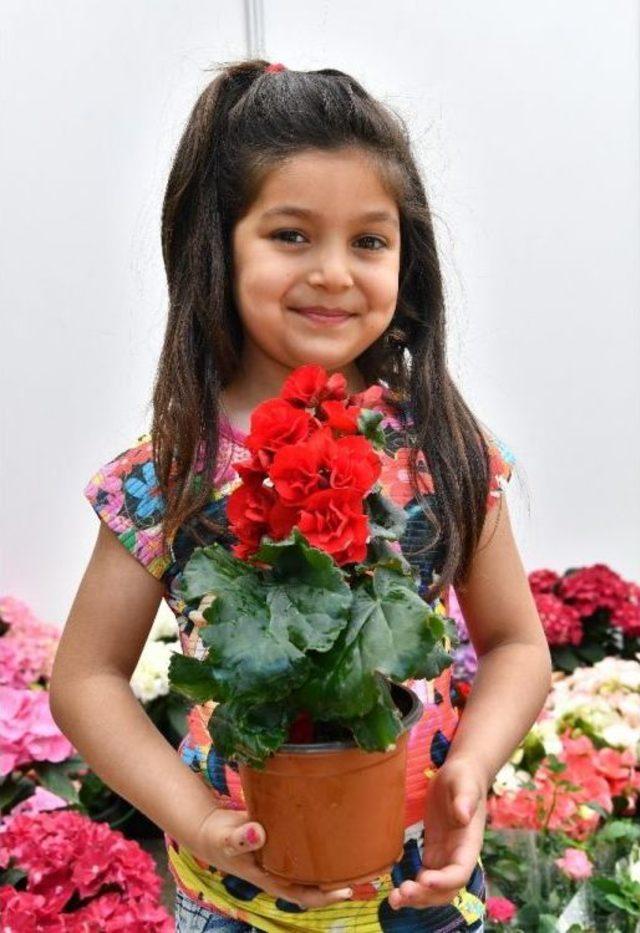 &Ccedil;i&ccedil;eğin Başkentinde "&ccedil;i&ccedil;ek Festivali" 2