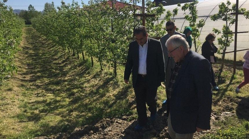 &Ouml;rnek Bah&ccedil;eler &Ccedil;oğalacak