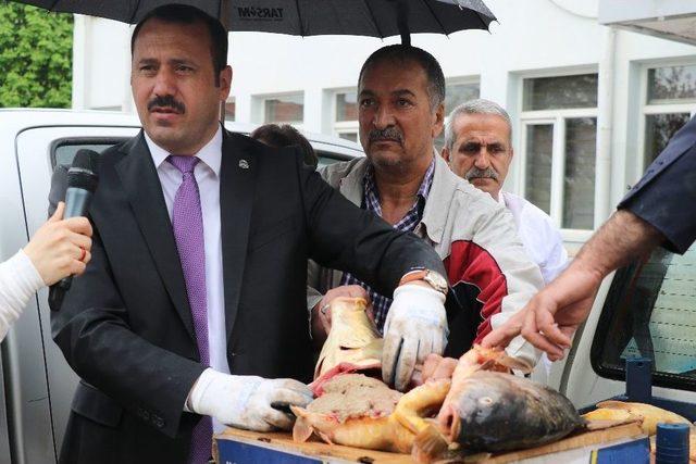 Elazığ&rsquo;da Ka&ccedil;ak Avlanan 3,5 Ton Balık Ele Ge&ccedil;irildi 1