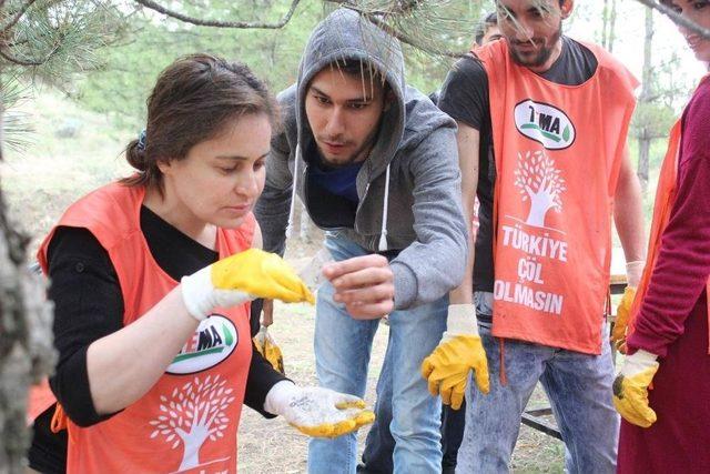 Tema Sungurlu’da Çevre Temizliği Yaptı 1