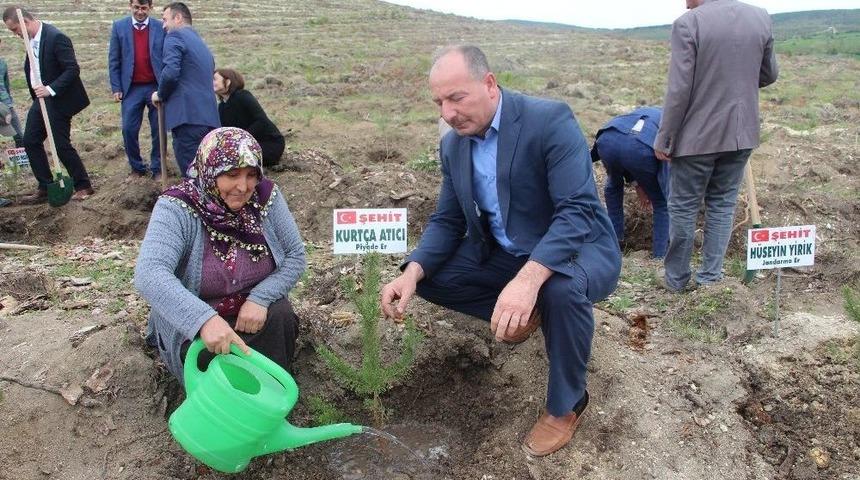 Vezirk&ouml;pr&uuml; Şehitlerine Hatıra Ormanı