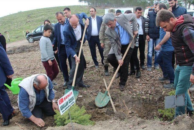 Vezirköprü Şehitlerine Hatıra Ormanı