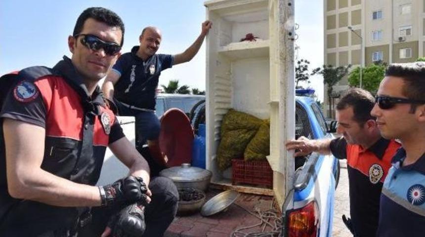 Antalya'da Midye Dolma Operasyonu