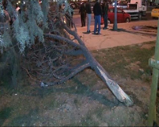 Kartal Sahil Yolu'nda Kaza:1 Ölü,2 Yaralı