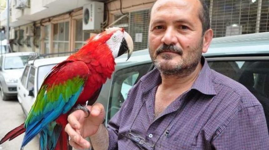Papağanı 'zaza' &Ccedil;ocuğu Gibi Oldu