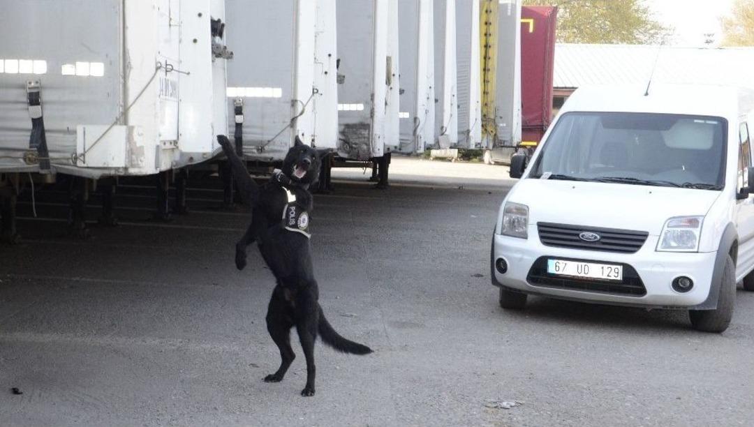 "dark" Ve "kurt" Uyuşturucuyla M&uuml;cadelede Etkin Rol Alacak