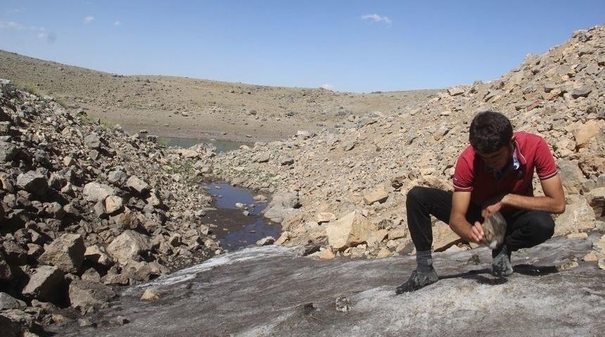 Eriyen Kar Suları G&ouml;let Oluşturdu