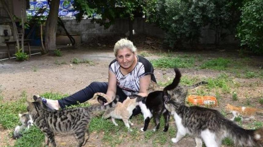 Sokak Kedilerine Baktığı I&ccedil;in Evinden Tahliye Ediliyor