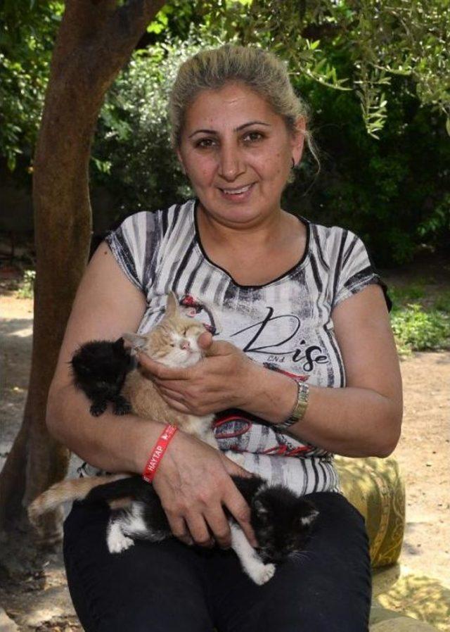 Sokak Kedilerine Baktığı I&ccedil;in Evinden Tahliye Ediliyor 2