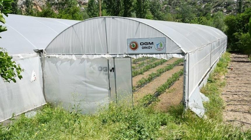 Ork&ouml;y&rsquo;den 33 Aileye Daha Seracılık Kredisi